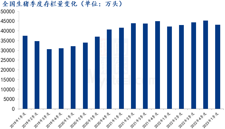 全國(guó)生豬季度存欄量變化
