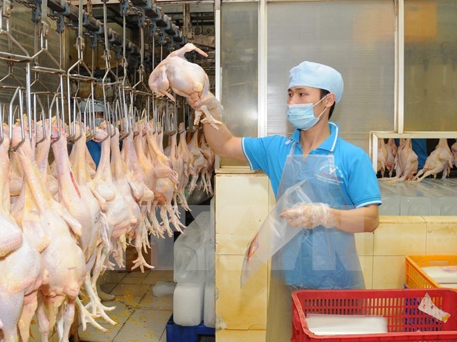 沙特禁止進口阿根廷禽肉