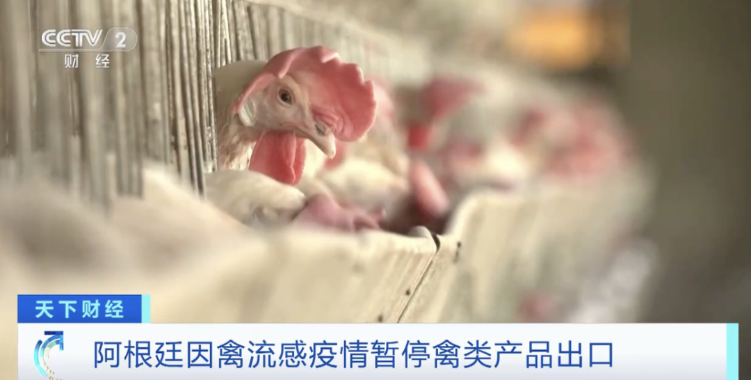 阿根廷因禽流感暫停禽類(lèi)產(chǎn)品出口